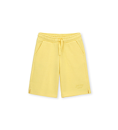 Шорты Sunshine от бренда Original Marines