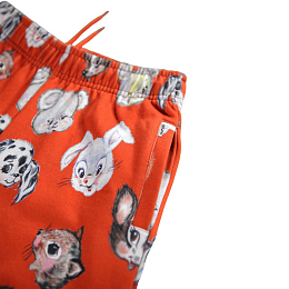 Джоггеры Adan Rising Sun от бренда MOLO