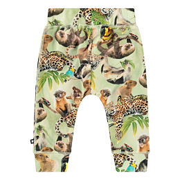 Ползунки Sammy Jungle Cubs от бренда MOLO