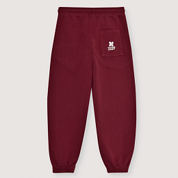 Джоггеры TNS Logo Plum Fantasy от бренда The New Society