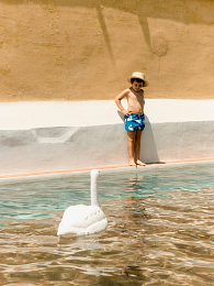 Шорты для плавания Swan от бренда Tinycottons