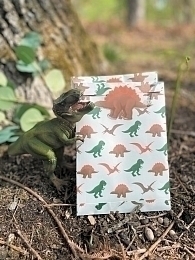 Подарочные пакетики Динозавры 8 шт. от бренда Tim & Puce Factory