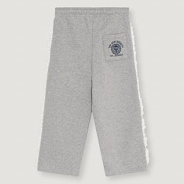 Штаны Ash Jogging Mid Grey Melange от бренда The New Society