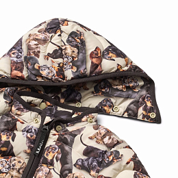 Комбинезон Honesty Dashshund Soft от бренда MOLO