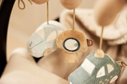 Развивающая спираль Машинка от бренда Jollein