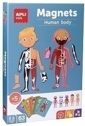 Магнитная игра «Тело человека» от бренда Apli Kids