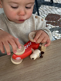 Гоночная машина с собакой от бренда Egmont Toys