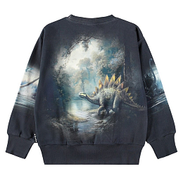 Свитшот Mattis Twilight Dinos от бренда MOLO