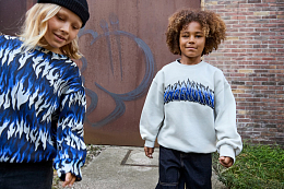 Свитшот Monti Ingenuity Cool от бренда MOLO