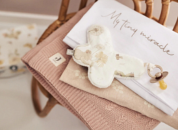 Комфортер - держатель для пустышки Мечтательная мышка от бренда Jollein