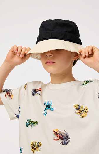 Футболка Roxo Vibrant Frogs от бренда MOLO Молочный