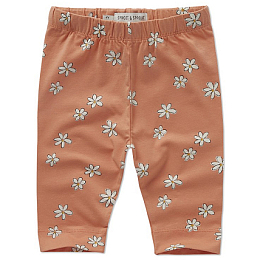 Велосипедки Daisies Print от бренда Sproet & Sprout