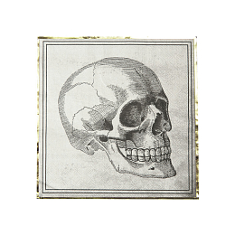 Салфетки Череп 16 шт от бренда Tim & Puce Factory