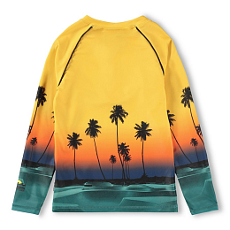 Лонгслив Noble Sunset Skate от бренда MOLO