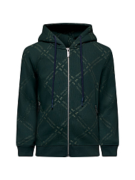 Толстовка Green Logo от бренда Trussardi