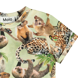 Футболка Easy Jungle Cubs от бренда MOLO Разноцветный