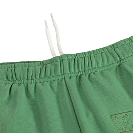 Шорты Amil Groovy Green от бренда MOLO