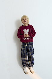 Свитшот TNS Logo Plum Fantasy от бренда The New Society