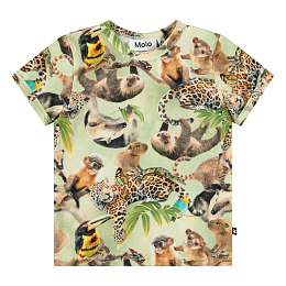 Футболка Easy Jungle Cubs от бренда MOLO Разноцветный