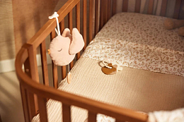 Игрушка музыкальная Прекрасные птицы от бренда Jollein