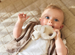 Погремушка Слоник от бренда Jollein