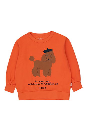 Свитшот TINY POODLE от бренда Tinycottons