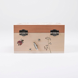 Музыкальная шкатулка "Божья коровка" от бренда Egmont Toys