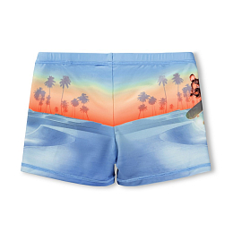 Плавки Norton Placed Skate Fun от бренда MOLO