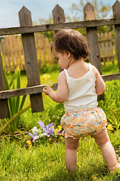 Боди Daisy от бренда Sproet & Sprout