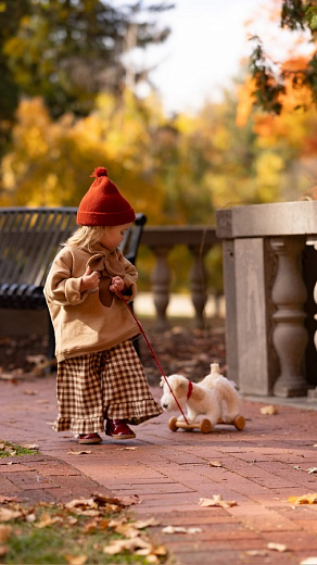 Каталка "Собачка" от бренда Egmont Toys