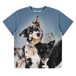 Футболка Riley Doggy Duo от бренда MOLO Синий