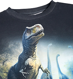 Свитшот Mattis Twilight Dinos от бренда MOLO