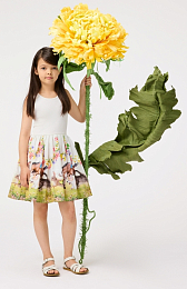 Платье Cassandra Joy Run от бренда MOLO