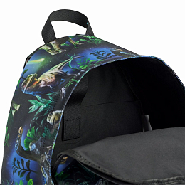 Рюкзак Mio Dinorama от бренда MOLO