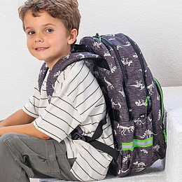 Рюкзак с двумя отделениями Динозавр от бренда MiquelRius