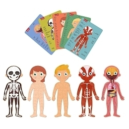 Пазлы Человеческое тело от бренда Apli Kids