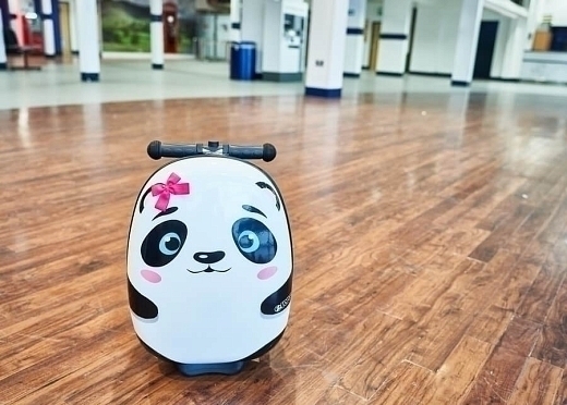 Самокат-чемодан Панда от бренда ZINC