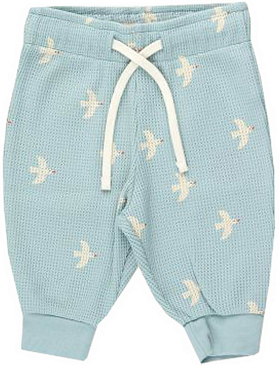 Джоггеры BIRDS BABY от бренда Tinycottons