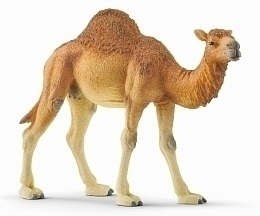 Одногорбый верблюд от бренда SCHLEICH