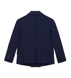 Пиджак с платком в клетку от бренда Original Marines