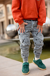 Джоггеры Universe Print от бренда Sproet & Sprout