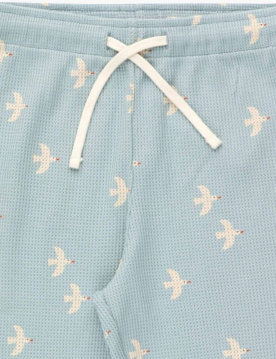 Джоггеры BIRDS BLUE от бренда Tinycottons