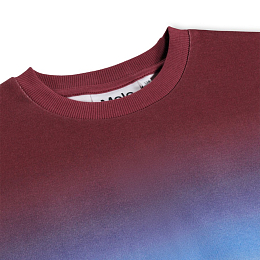 Свишот Miksi Bengal Tiger от бренда MOLO