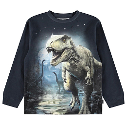 Свитшот Rube Moonlight Rex от бренда MOLO