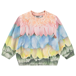 Свитшот Disc Petal Rainbow от бренда MOLO
