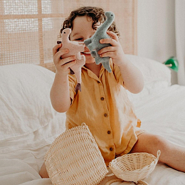 Мягкие игрушки Динозавры в подарочной коробке от бренда Olli Ella