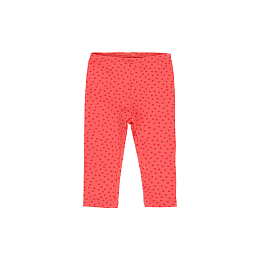 Лонгслив Ladybug и леггинсы от бренда Boboli