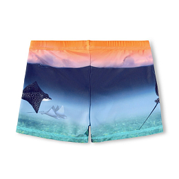 Плавки Norton Placed Into The Sunset от бренда MOLO