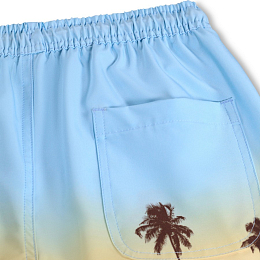 Шорты Nilson Sunrise Skate от бренда MOLO