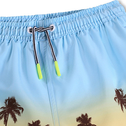 Шорты Nilson Sunrise Skate от бренда MOLO